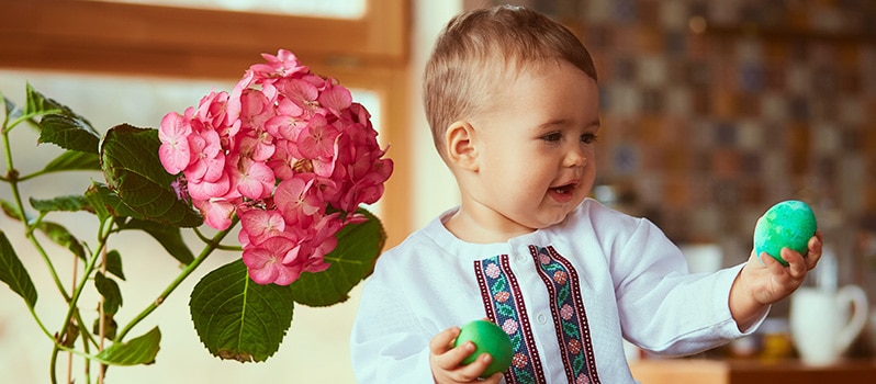 Nombres De Flores De Niños Y Su Significado