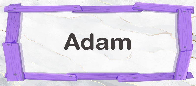 Adam significado