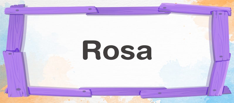 Cuál es el significado de Rosa