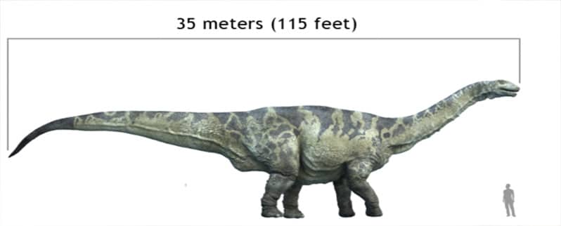Argentinosaurus Dinosaurio