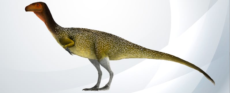 Chilesaurus Diegosuarezi Ornitorrinco