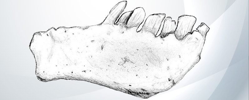 Dinosaurio Chilesaurus