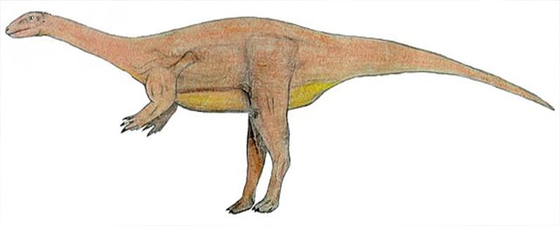 Dinosaurio Saturrnalia