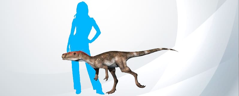 Dinosaurio Staurikosaurus