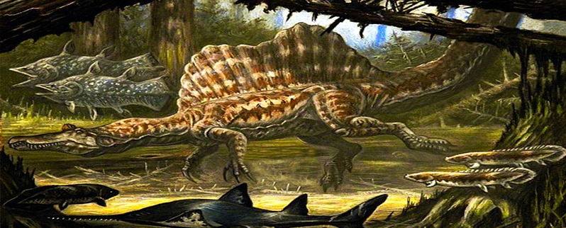 Spinosaurus Dinosaurio