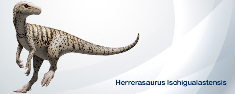 Herrerasaurus Ischigualastensis