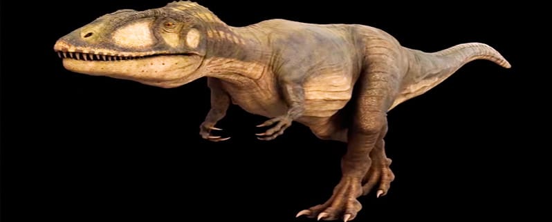 Dinosaurio Carcharodontosaurus