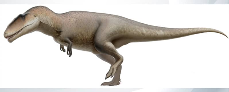 Especies de dinosaurios para niños y niñas