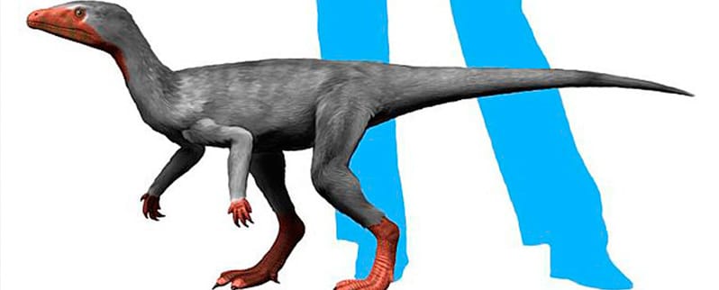 Especies y nombres de dinosaurios para niños