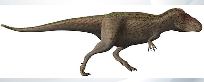 Las especies de dinosaurios para niños y niñas