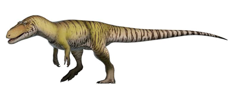 Las especies de dinosaurios para niños