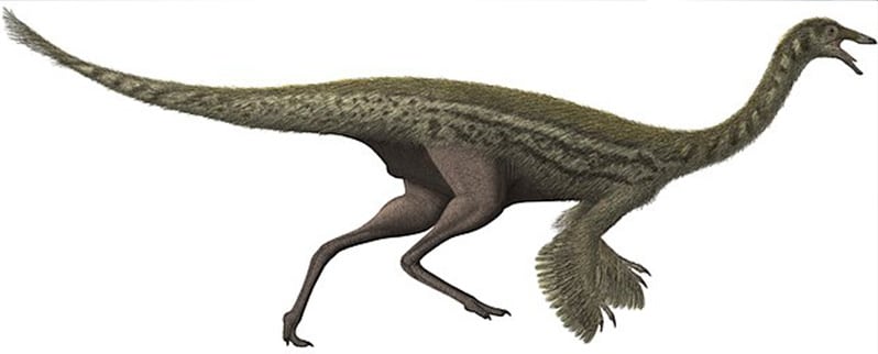 Las especies de dinosaurios