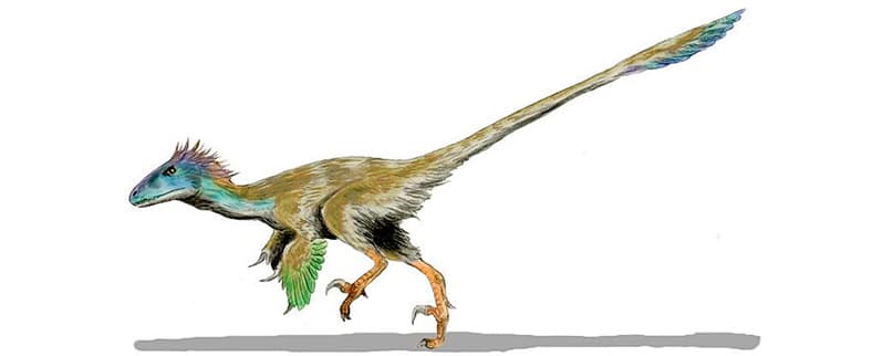 Nombres de dinosaurios para niños y niñas