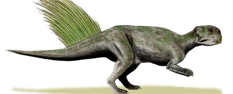 Nombres y especies de dinosaurios para niños