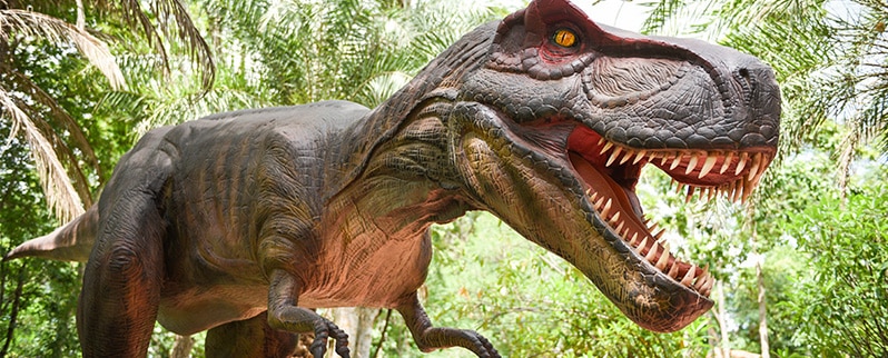 Tipos de dinosaurios para niños