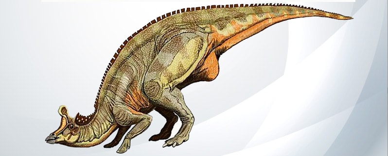 Tipos, especies y nombres de dinosaurios