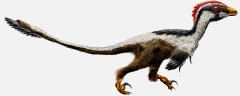 Tipos Nombres Y Especies De Dinosaurios