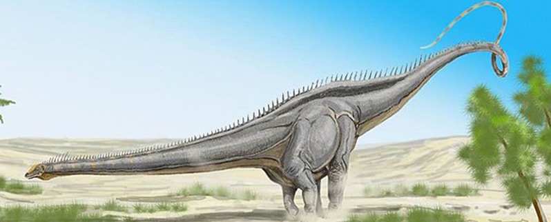 Tipos y nombres de dinosaurios
