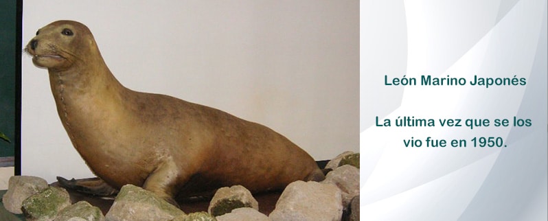 Animales extintos
