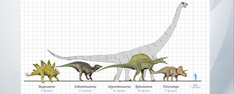 Clasificación de dinosaurios según su alimentación