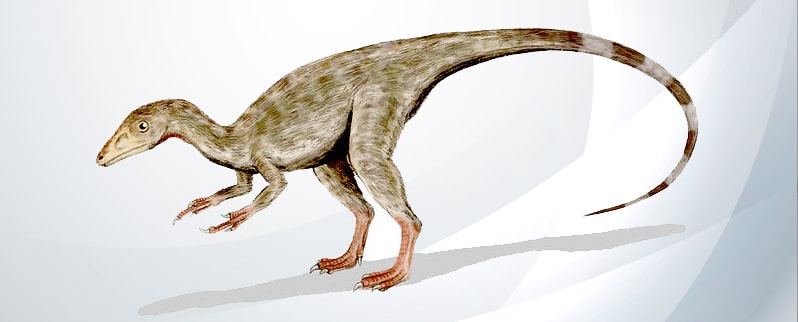 Clasificación de dinosaurios