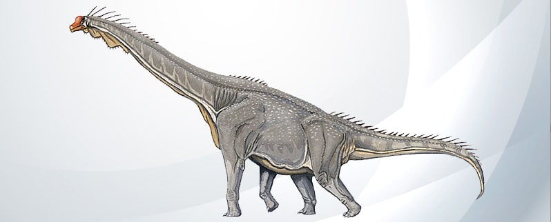Clasificación de los dinosaurios para niños y niñas