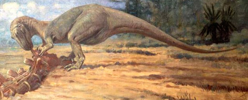 Clasificación de los dinosaurios para niños