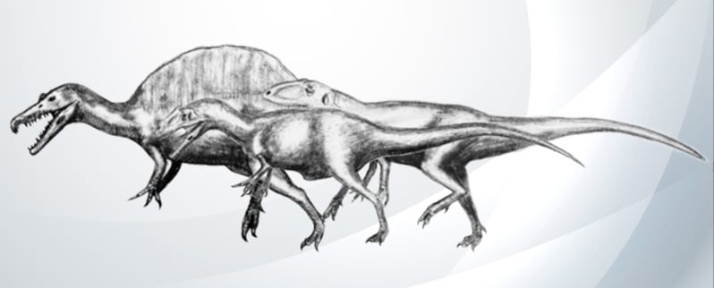 Clasificación de los dinosaurios por su alimentación