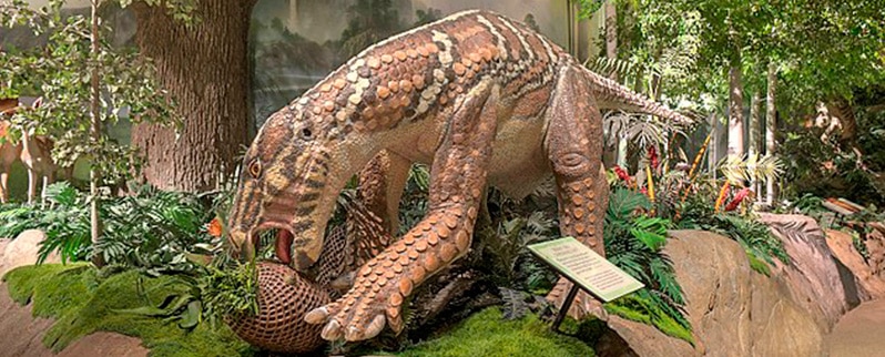 Clasificación de los dinosaurios