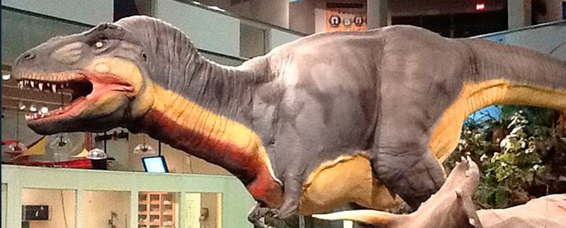Clasificación de tamaño de dinosaurios