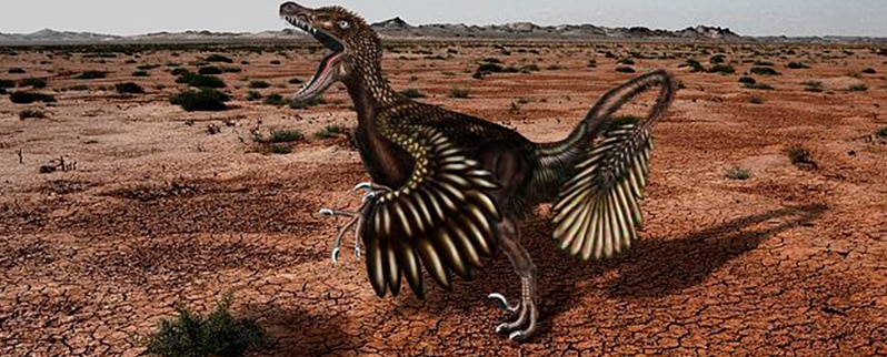 La clasificación de dinosaurios por su naturaleza