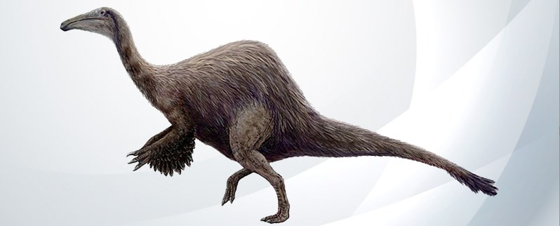 La clasificación de dinosaurios según su alimentación