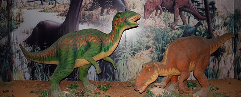 La clasificación de los dinosaurios según su alimentación