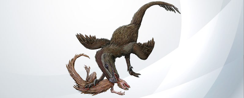 La clasificación de los dinosaurios según su tamaño