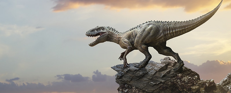 Clasificación de las eras de los dinosaurios
