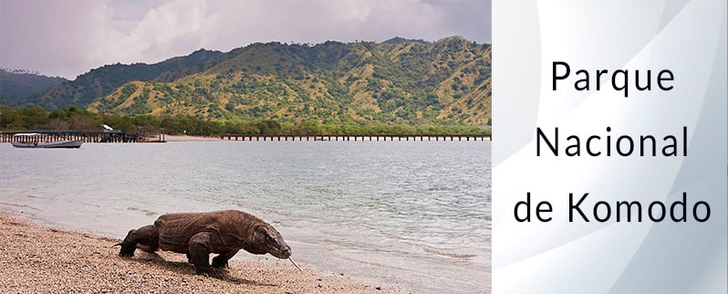 Las Siete Maravillas del Mundo parque nacional de Komodo