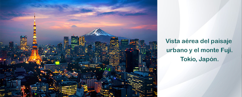 Capitales Del Mundo Tokio Japon