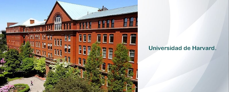 Universidad Harvard.