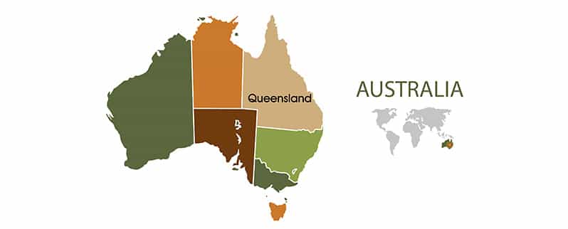 Serpiente más venenosa del mundo: Queensland Australia